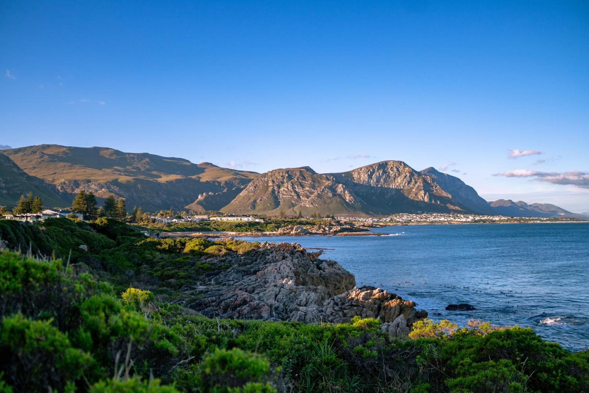 Protea & Pincushion Cottages Германус Екстер'єр фото